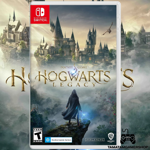 hogwart-nintendosw